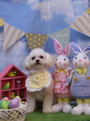 20240301シェリーちゃん